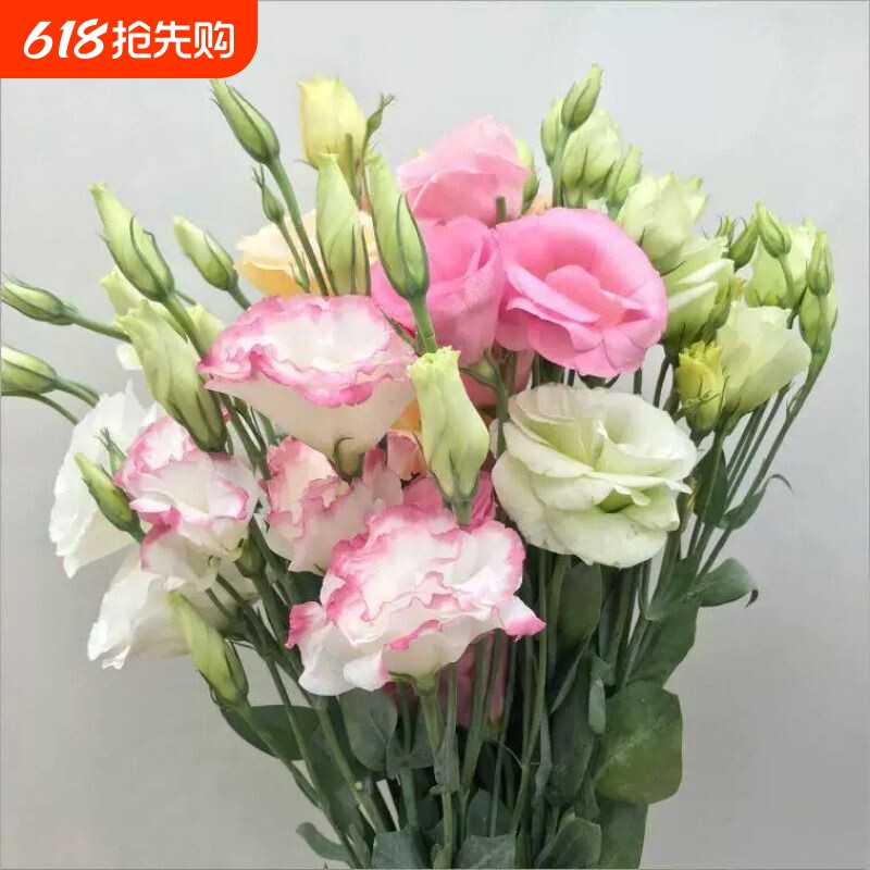 云南昆明洋桔梗鲜花花束七夕节基地直发芍药一扎直批家用同城速递