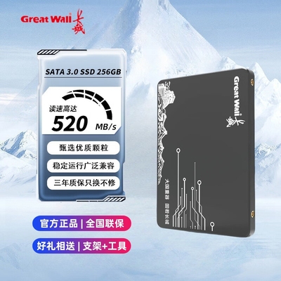长城固态硬盘2.5寸SATA3.0接口256/512GB台式机笔记本高速SSD扩容