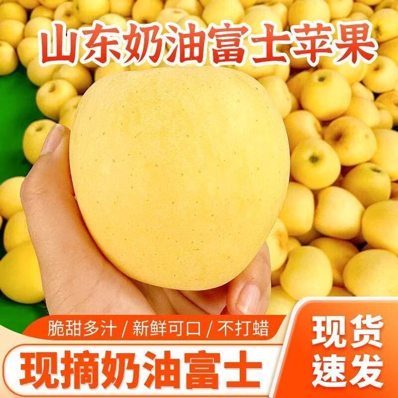 山东正宗奶油富士苹果现摘黄金脆甜奶香苹果当季新鲜脆甜奶油水果