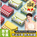 户外防潮垫加厚野餐垫露营野外防水草坪帐篷便携地垫室外海滩旅行