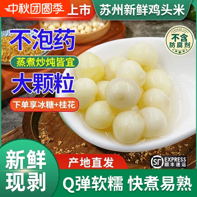苏州特产芡实正宗太湖大颗粒大果										