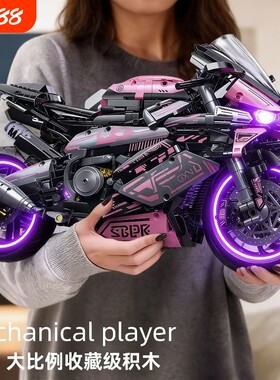 宝马M1000RR摩托车积木跑车拼装模型高难度大型机械男孩玩具摆件