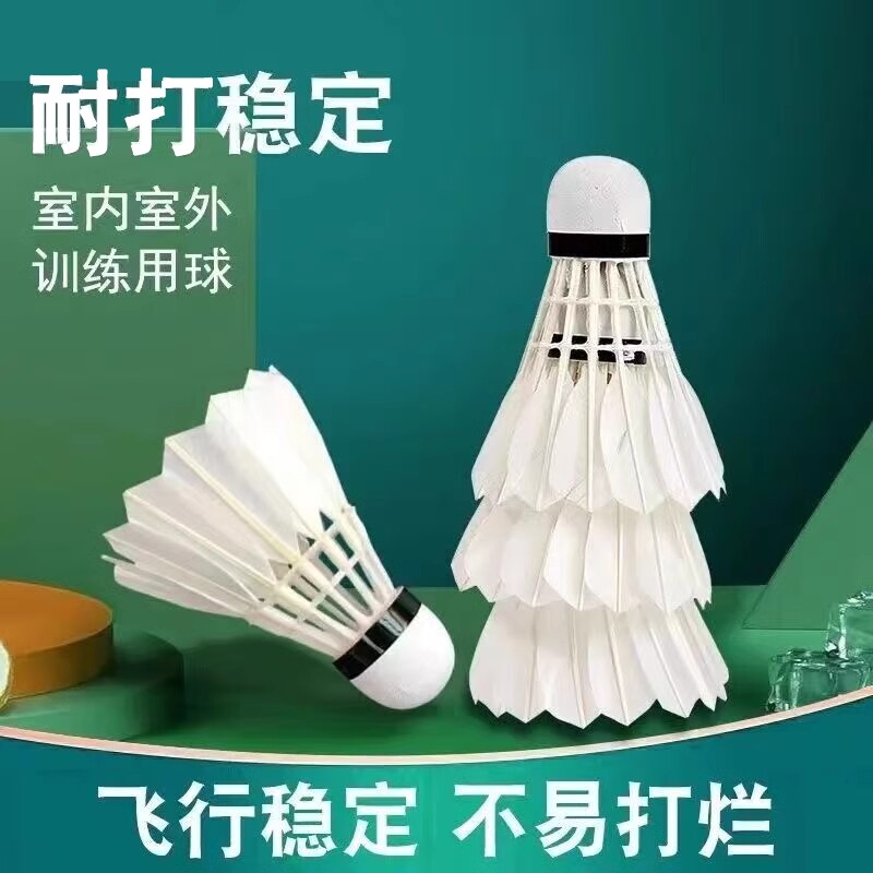 羽毛球正品耐打王室内室外训练用球6只装12只装防风稳定不易打烂