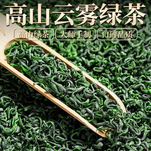 2025新春茶云雾绿茶高山茶叶非毛尖茶日照充足浓香型袋散装