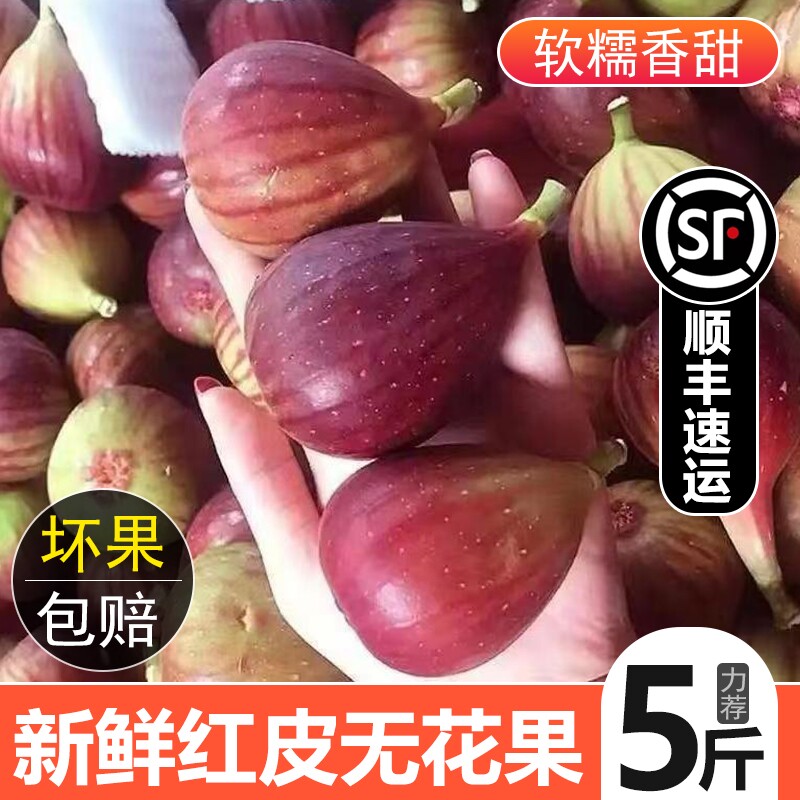 顺丰 四川新鲜现摘无花果红皮鲜果孕妇儿童可食熟果紫皮现采包邮