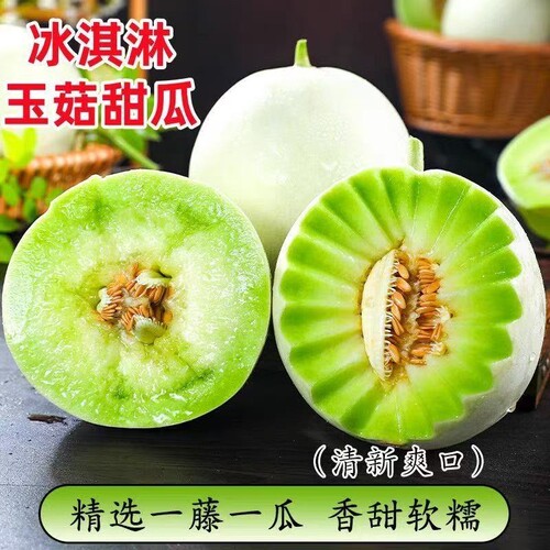 山东玉菇甜瓜冰淇淋蜜瓜香瓜新鲜水果甜瓜现摘现发当季白瓜翡翠