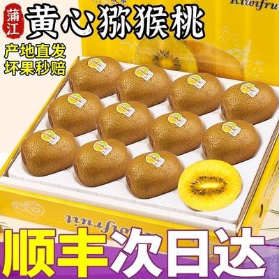 顺丰蒲江黄心猕猴桃20枚礼盒装黄心奇异果当季新鲜现摘水果金果甜