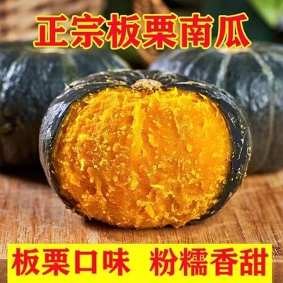 山东正宗贝贝南瓜粉面香甜南瓜包粉包面包香板栗代餐