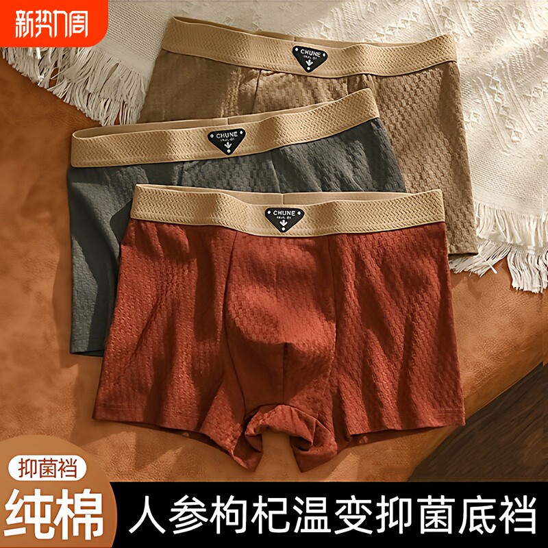 男士内裤纯棉抗菌男生秋冬款2026新款透气四角青少年运动平角短裤