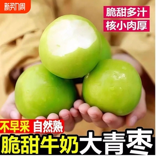 奶油蜜脆甜枣 包邮 贵妃蜜枣 整箱 牛奶贵妃枣大青枣新鲜水果当季