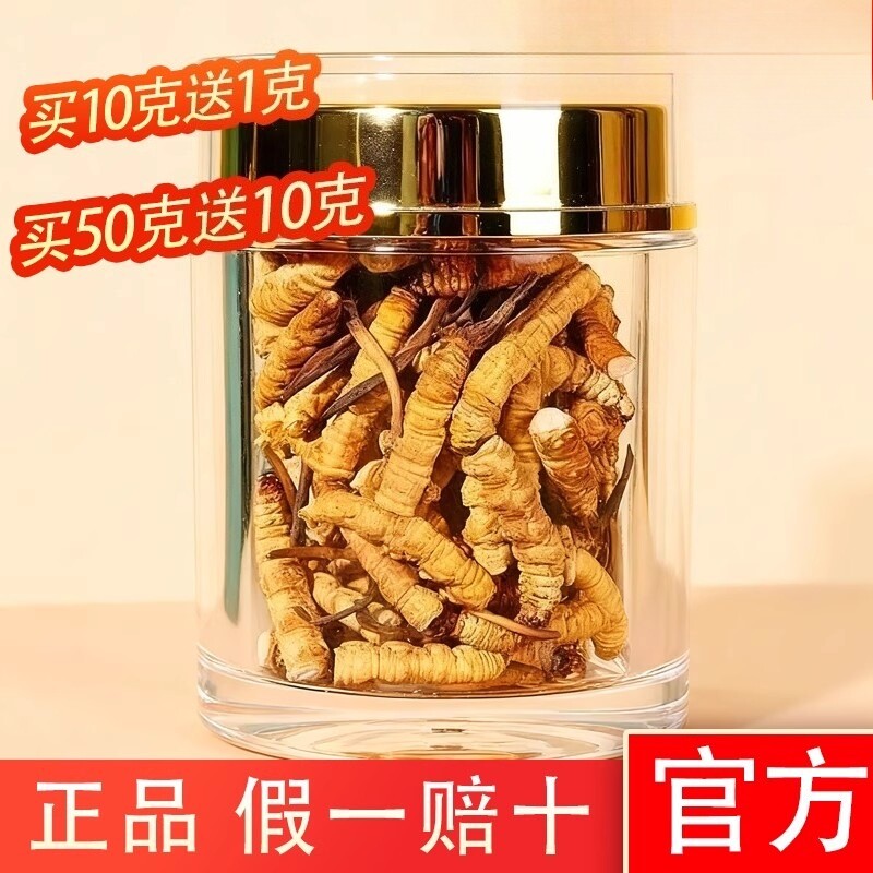 高海拔那曲特级冬虫夏草大断草新货头期干刷官方正品正宗假一赔十