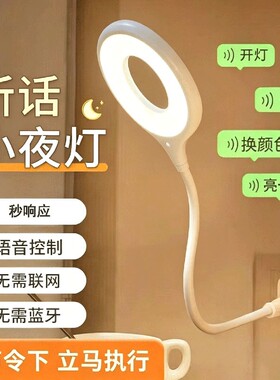 智能声控小夜灯语音感应卧室床头睡眠家用新款台灯USB插电式护眼
