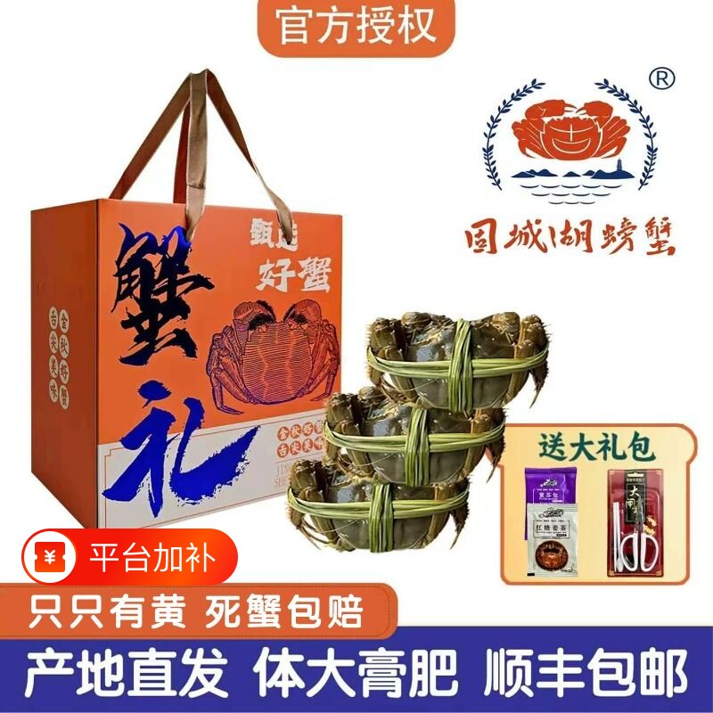 江苏大闸蟹螃蟹鲜活礼盒活蟹精品公母蟹现货海鲜水产顺丰次日