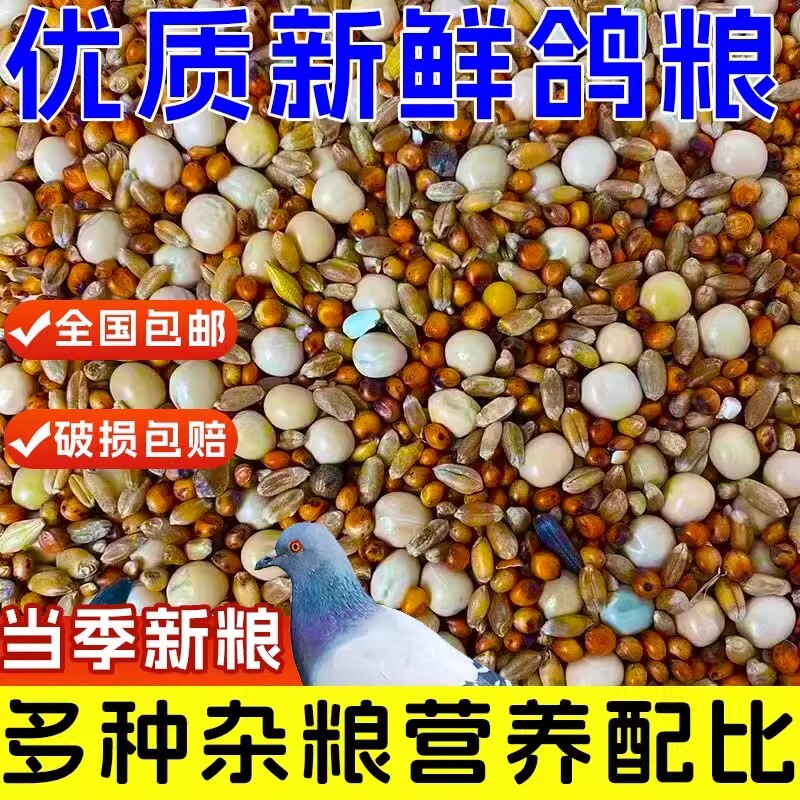 优质鸽粮玉米粮食鸟食饲料鸽子营养保健幼鸽成鸽肉鸽观赏鸽信鸽粮