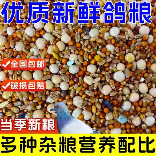 鸽子专用玉米饲料|超3000次加购