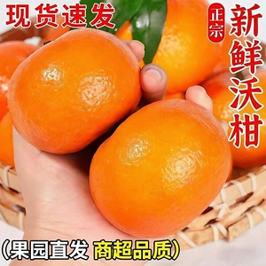 沃柑当季新鲜水果正宗5斤大果整箱耙耙柑桔橘现摘现发纯甜包邮
