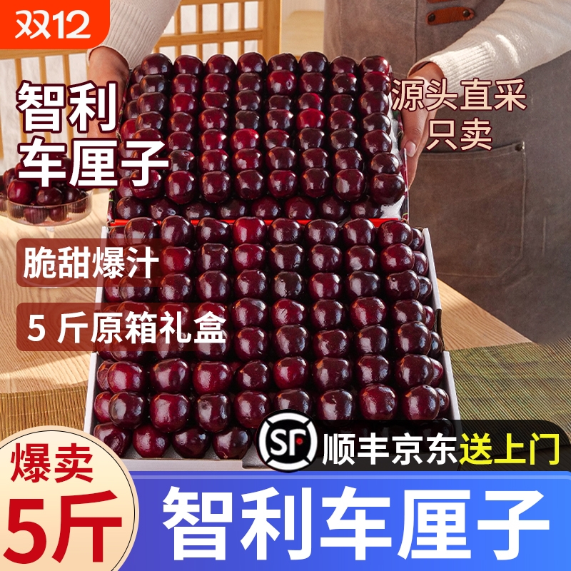 【海运5斤礼盒装】智利进口车厘子新鲜当季水果顺丰京东包邮多汁T