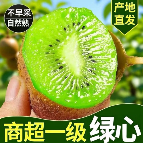 正宗现摘猕猴桃绿心奇异果现摘5斤新鲜大果产地直发孕妇应季水果