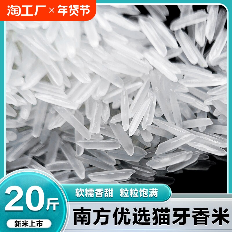 �ۻ��㣺è����5�� ����è����2024����������˿�糬�������״���5��10���з�������