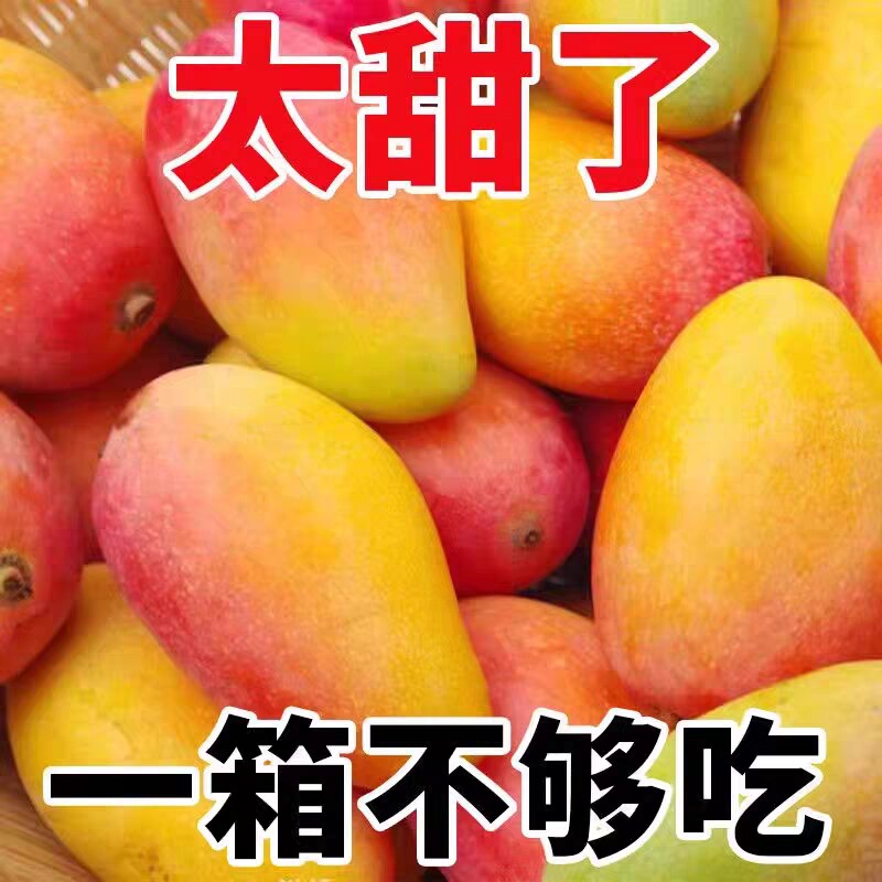 现摘贵妃芒新鲜树上熟5斤百色芒果当季水果红金龙甜心辣椒芒