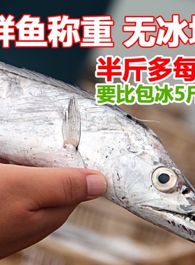 刀鱼新鲜带鱼段5斤大带鱼中段小眼黄海东海带鱼胶山东油带鱼冷冻
