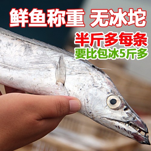 新鲜带鱼段5斤|超1000次加购