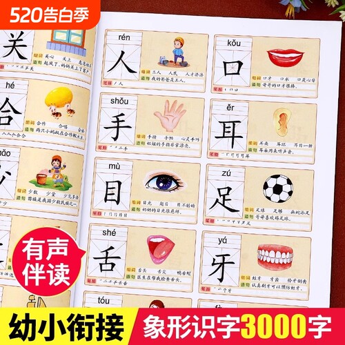星童官有声伴读识字大王3000字
