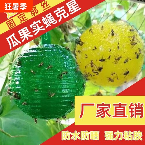 果蝇粘虫球诱蝇球|255人收藏