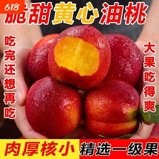 正宗山东麻点黄肉油桃大桃子新鲜水果当季现摘脆甜黄心优选大果
