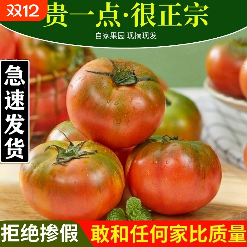 丹东草莓柿子5斤|超2000次加购