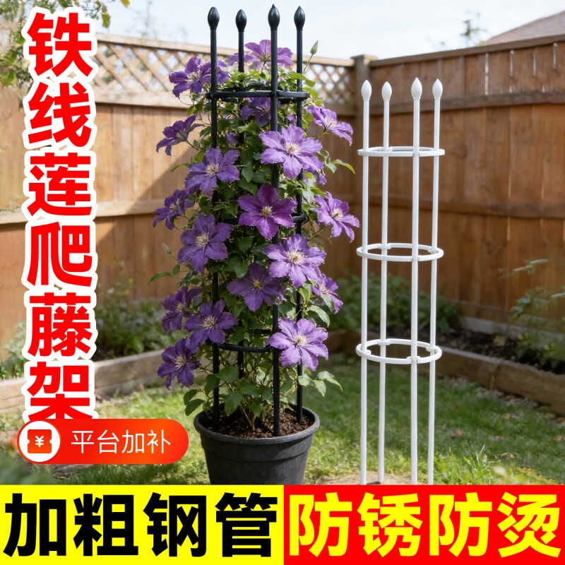 花架爬藤架支撑杆月季攀爬架子铁艺花卉植物支架固定花盆造型园艺