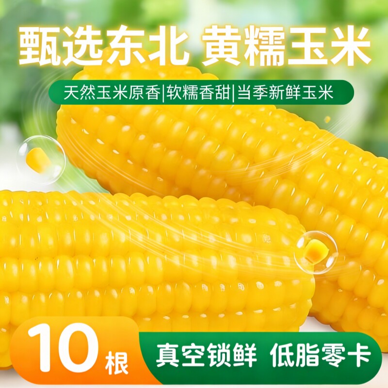 东北黄糯玉米非转基因减脂减肥低脂粗粮代餐早餐新鲜糯玉米真空装