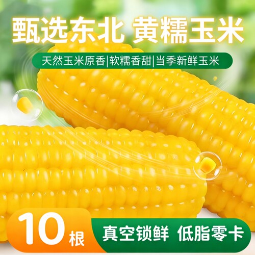 东北黄糯玉米非转基因减脂减肥低脂粗粮代餐早餐新鲜糯玉米真空装