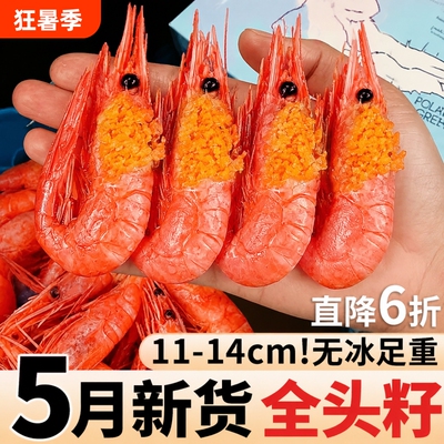 北极甜虾北极熊头籽北极虾冰虾海鲜水产带籽大虾鲜活速冻刺身熟冻