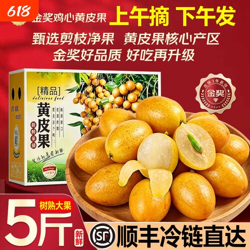 广东郁南黄皮果新鲜当季现摘现发
