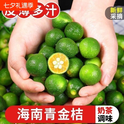 正宗青金桔小青柠新鲜柠檬青皮桔子5斤水果奶茶店专用现摘顺丰