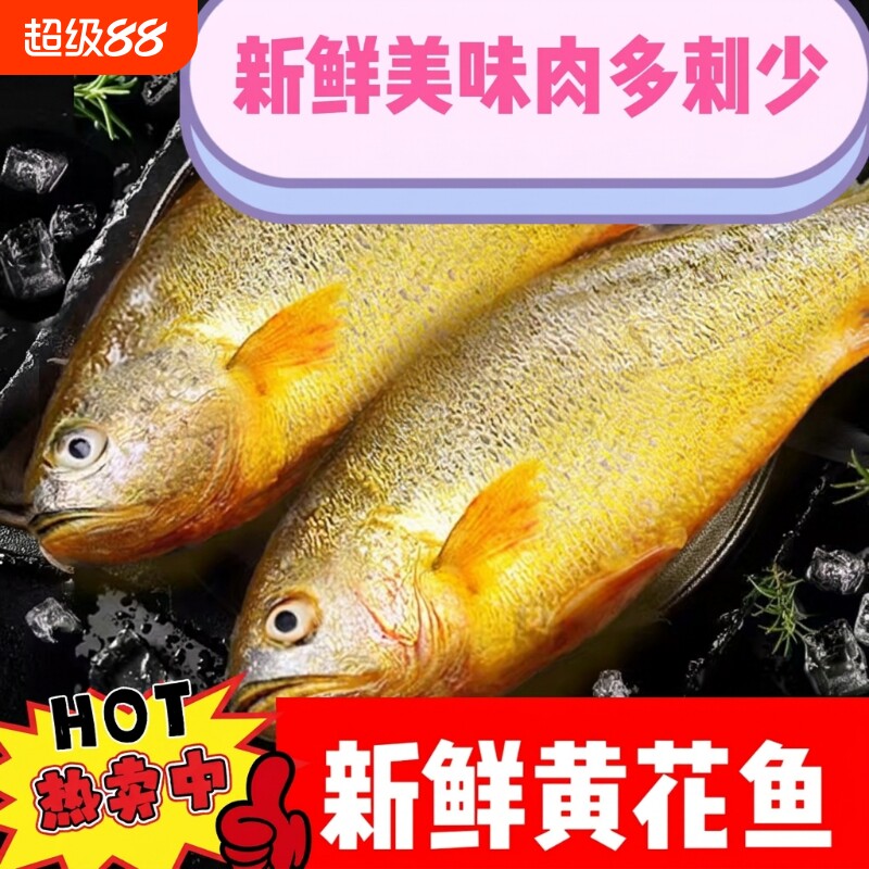 冷冻黄花鱼大黄鱼深海新鲜冰冻海鲜水产批发鱼肉一斤速冻图片