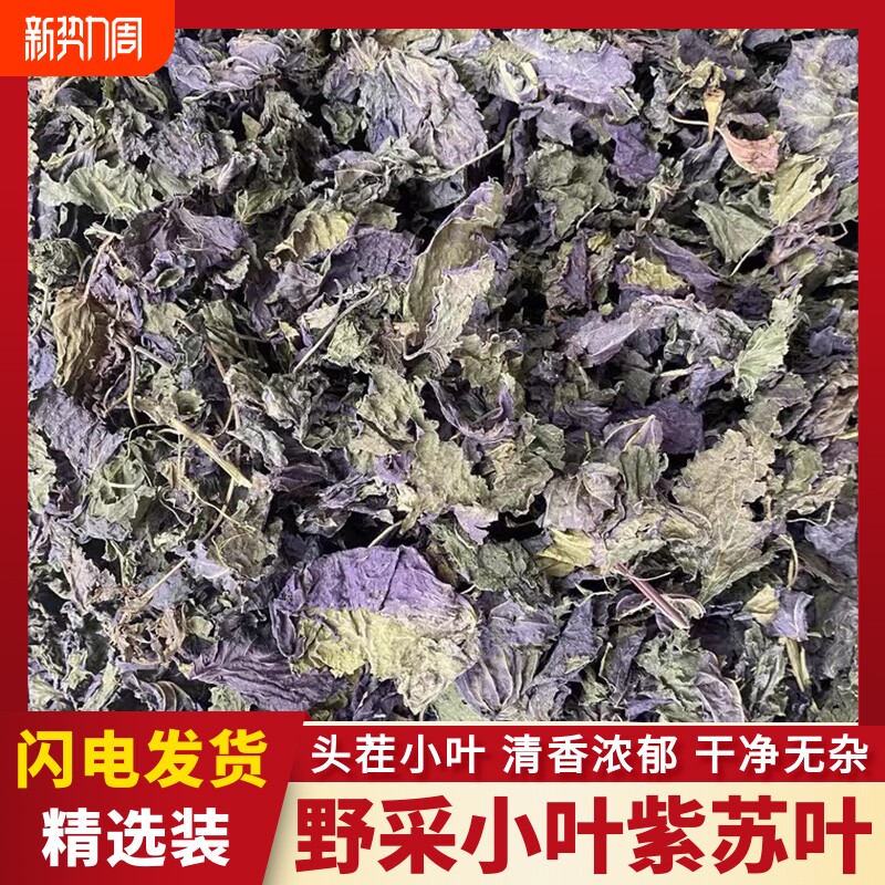 紫苏叶中药材苏子叶自然晒干无硫野生小叶紫苏新鲜干货泡水泡茶喝