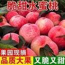 现摘水蜜桃新鲜水果大桃子应当季 果园大果 软时令脆甜毛桃整箱 包邮