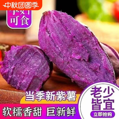 新鲜沙地紫薯板栗紫罗兰番薯红薯紫心蜜薯地瓜蔬菜软糯香甜