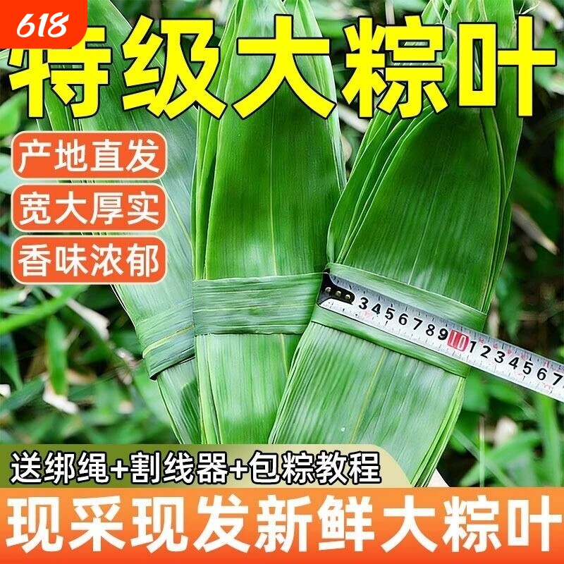 粽叶新鲜粽子叶大号真空家用商用竹叶包粽子专用粽叶干特大非芦苇
