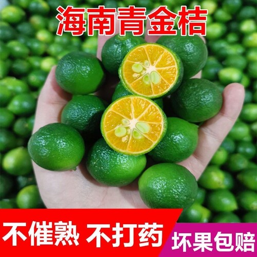 新鲜水果青金桔小青桔小金桔奶茶店使用鲜果酸桔酸青橘酸青桔爆汁