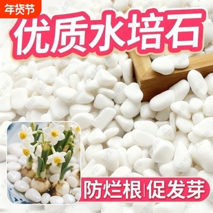 小白水培石子铺面石鹅卵石鱼缸造景白色石头花盆栽装饰庭院原石