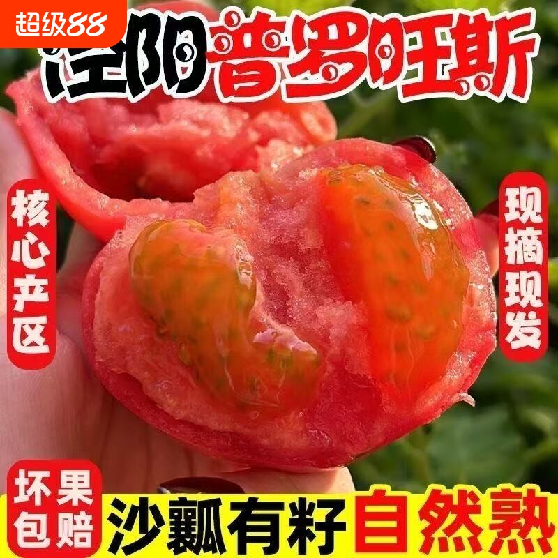 正宗商超品质普罗旺斯沙瓤西红柿彩箱自然熟非铁皮柿子水果大番茄