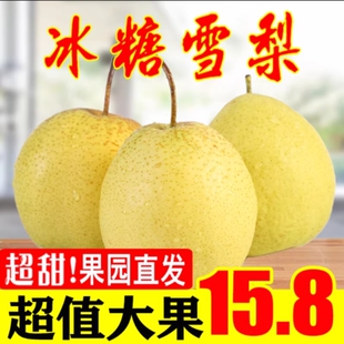 雪花梨赵县新鲜梨包邮雪梨水果新鲜当季梨子新鲜10雪梨整箱5斤9斤