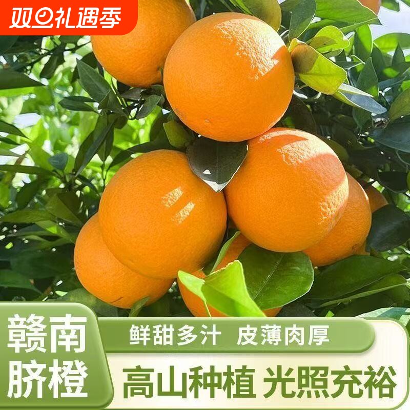 正宗赣南脐橙新鲜多汁现采直发榨汁手剥甜橙应季水果维c果园直供