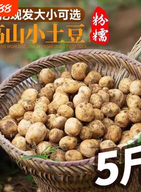 【恩施小土豆新鲜】黄皮黄心土豆批发蔬菜洋芋现挖马铃薯整箱