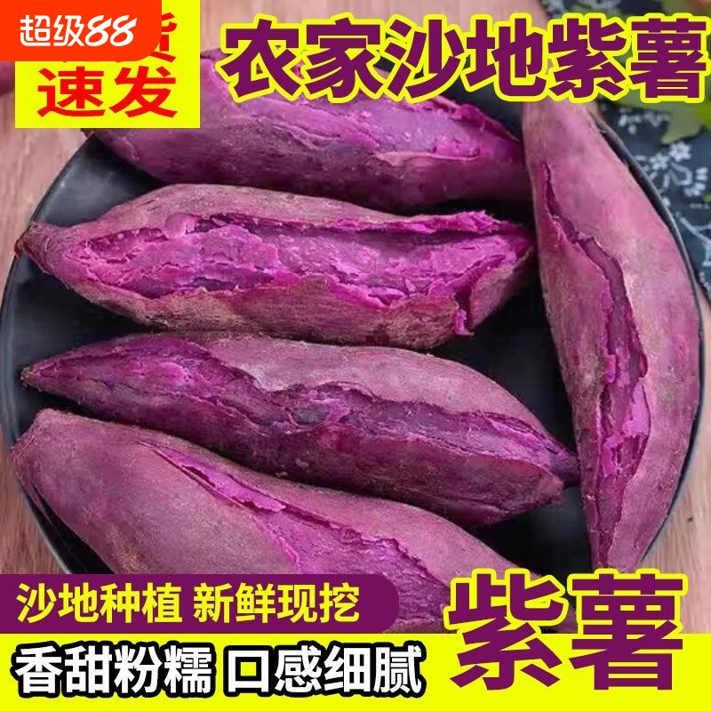正宗紫薯新鲜沙地红薯香甜现挖地瓜紫罗兰番薯蜜薯蔬菜整箱批发