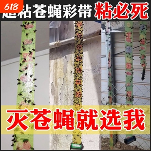 苍蝇贴强力粘蝇纸驱赶神器强力杀灭除蝇子捕蝇笼粘蝇板家用一扫光