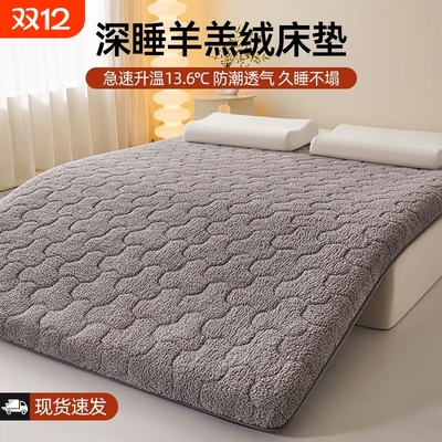 羊羔绒床垫软垫加厚冬季家用